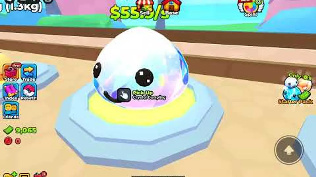 Trade Dumplings Guides Hub